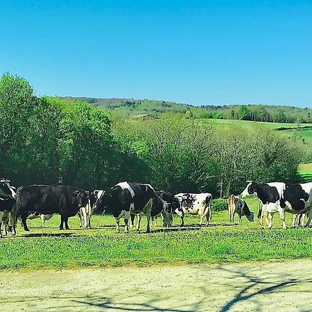 « Le Vieux Hangar » Gite A La Ferme Truffe Exterior photo
