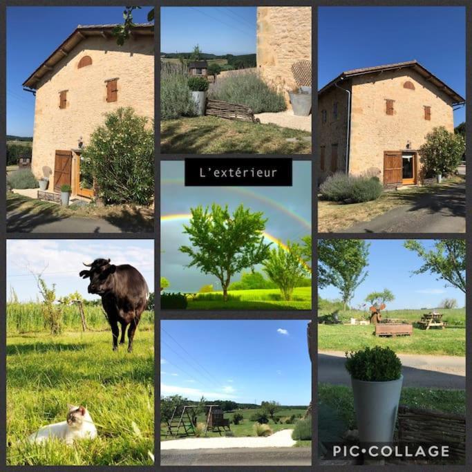 « Le Vieux Hangar » Gite A La Ferme Truffe Exterior photo